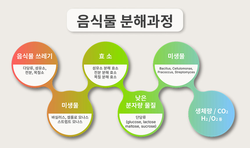 미생물 분해 과정 도해
